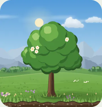 A thriving oak: a big, wide tree with white flowers.